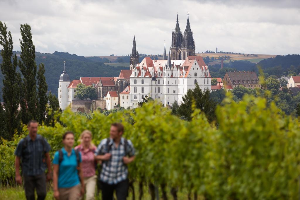فندق Meißenفي  Gastehaus Im Weingut Schloss Proschwitz المظهر الخارجي الصورة