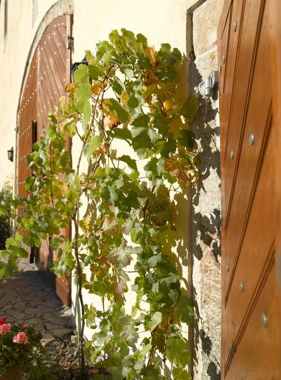 فندق Meißenفي  Gastehaus Im Weingut Schloss Proschwitz المظهر الخارجي الصورة